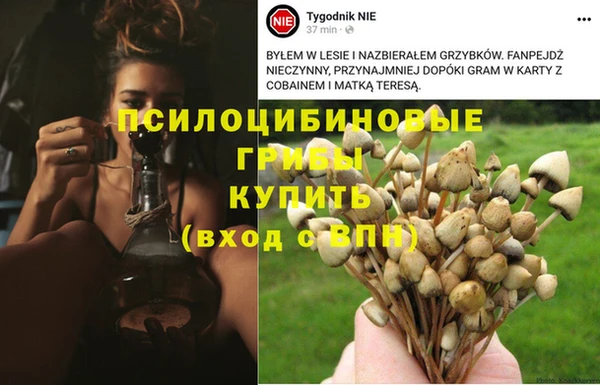 твердый Алексеевка