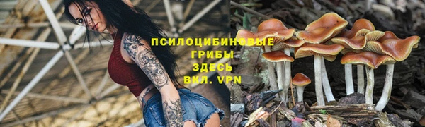 ECSTASY Алексин